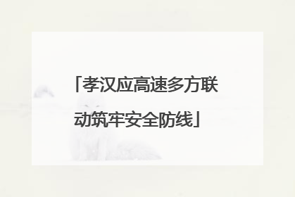孝汉应高速多方联动筑牢安全防线