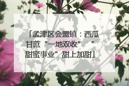 孟津区会盟镇：西瓜甘蔗“一地双收” “甜蜜事业”甜上加甜