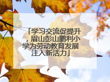 学习交流促提升，眉山彭山鹏利小学为劳动教育发展注入新活力