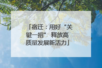 宿迁：用好“关键一招” 释放高质量发展新活力