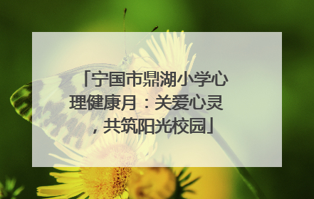 宁国市鼎湖小学心理健康月：关爱心灵，共筑阳光校园