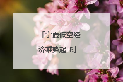 宁夏低空经济乘势起飞