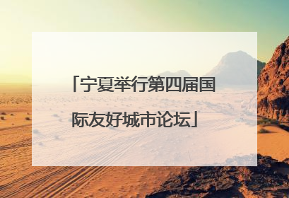 宁夏举行第四届国际友好城市论坛