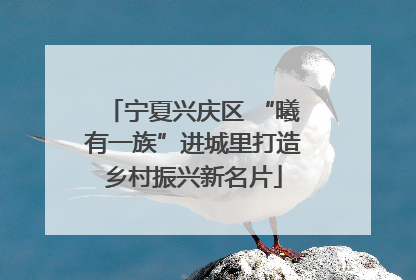 宁夏兴庆区 “曦有一族”进城里打造乡村振兴新名片
