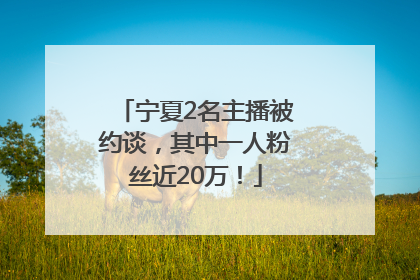 宁夏2名主播被约谈，其中一人粉丝近20万！