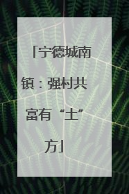 宁德城南镇：强村共富有“土”方