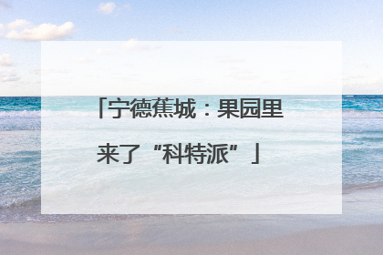 宁德蕉城：果园里来了“科特派”