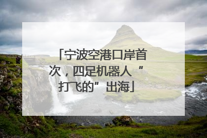 宁波空港口岸首次，四足机器人“打飞的”出海