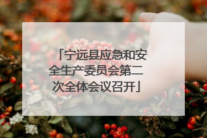 宁远县应急和安全生产委员会第二次全体会议召开