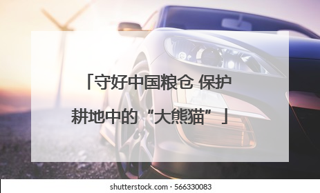 守好中国粮仓 保护耕地中的“大熊猫”
