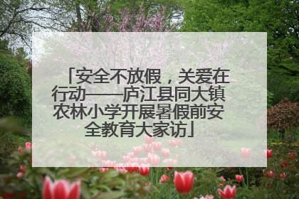 安全不放假，关爱在行动——庐江县同大镇农林小学开展暑假前安全教育大家访