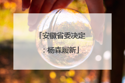 安徽省委决定：杨森履新
