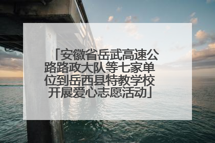 安徽省岳武高速公路路政大队等七家单位到岳西县特教学校开展爱心志愿活动
