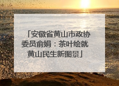 安徽省黄山市政协委员俞娟：茶叶绘就黄山民生新图景