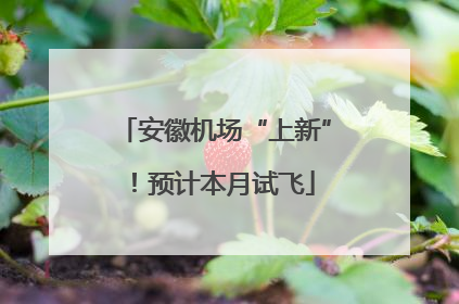 安徽机场“上新”！预计本月试飞