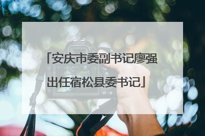 安庆市委副书记廖强出任宿松县委书记