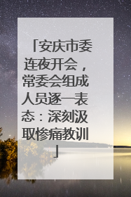 安庆市委连夜开会，常委会组成人员逐一表态：深刻汲取惨痛教训