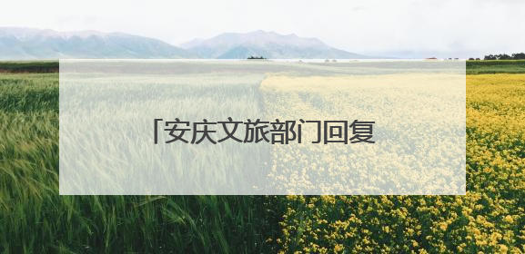 安庆文旅部门回复网民：推动打造“黄鹄号”长江游轮