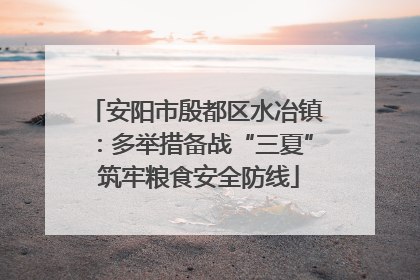 安阳市殷都区水冶镇：多举措备战“三夏” 筑牢粮食安全防线
