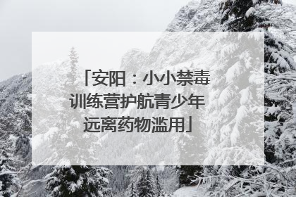 安阳：小小禁毒训练营护航青少年远离药物滥用