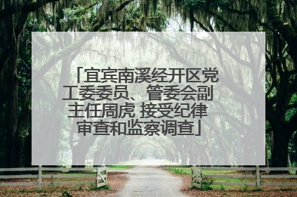 宜宾南溪经开区党工委委员、管委会副主任周虎 接受纪律审查和监察调查