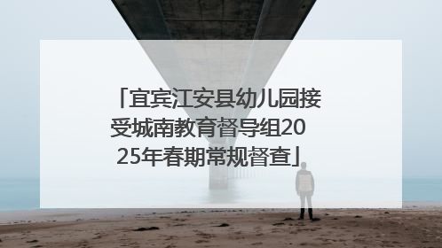 宜宾江安县幼儿园接受城南教育督导组2025年春期常规督查