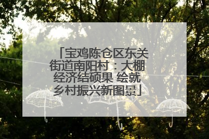 宝鸡陈仓区东关街道南阳村：大棚经济结硕果 绘就乡村振兴新图景