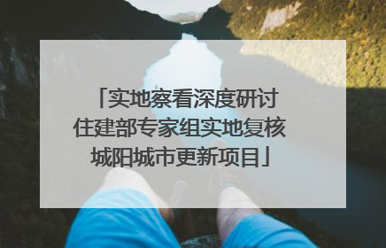 实地察看深度研讨 住建部专家组实地复核城阳城市更新项目