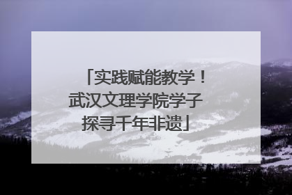 实践赋能教学！武汉文理学院学子探寻千年非遗