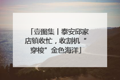 壹图集丨泰安邱家店镇收忙，收割机“穿梭”金色海洋