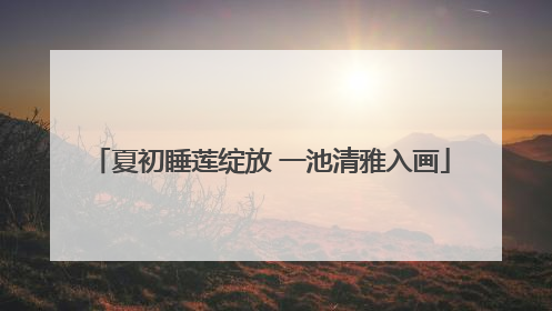 夏初睡莲绽放 一池清雅入画