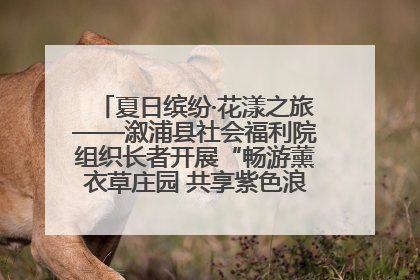 夏日缤纷·花漾之旅——溆浦县社会福利院组织长者开展“畅游薰衣草庄园 共享紫色浪漫”户外活动