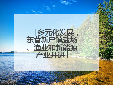 多元化发展，东营新户镇盐场、渔业和新能源产业并进