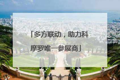 多方联动，助力科摩罗唯一参展商