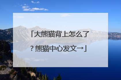 大熊猫背上怎么了？熊猫中心发文→