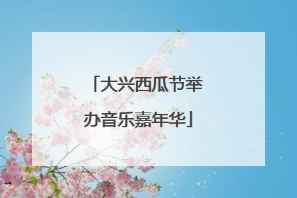 大兴西瓜节举办音乐嘉年华