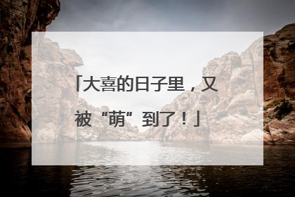 大喜的日子里，又被“萌”到了！