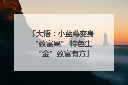 大悟：小蓝莓变身“致富果” 特色生“金”致富有方