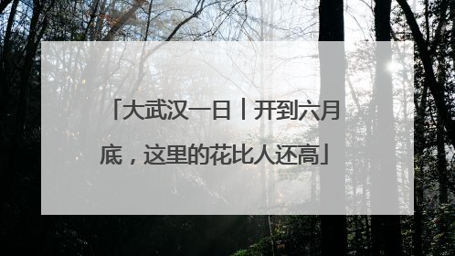 大武汉一日︱开到六月底，这里的花比人还高