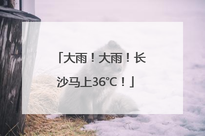 大雨！大雨！长沙马上36℃！