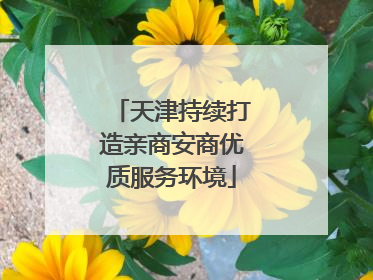 天津持续打造亲商安商优质服务环境