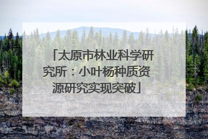 太原市林业科学研究所：小叶杨种质资源研究实现突破