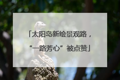 太阳岛新绘景观路，“一路芳心”被点赞