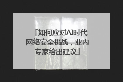 如何应对AI时代网络安全挑战，业内专家给出建议