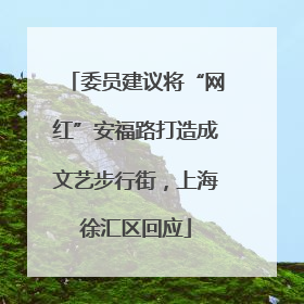 委员建议将“网红”安福路打造成文艺步行街，上海徐汇区回应