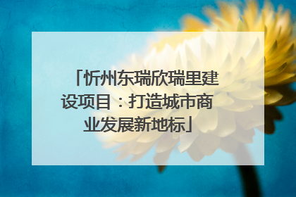 忻州东瑞欣瑞里建设项目：打造城市商业发展新地标