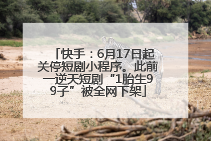 快手：6月17日起关停短剧小程序。此前一逆天短剧“1胎生99子”被全网下架