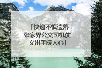 快递不慎遗落 张家界公交司机仗义出手暖人心
