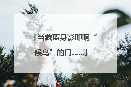 当藏蓝身影叩响“候鸟”的门……