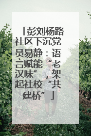 彭刘杨路社区下沉党员易静：语言赋能“老汉味”，架起社校“共建桥”